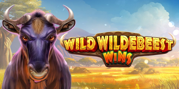 Strategi Terbukti Jackpot di Slot Wild Wildebeest Wins
